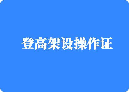 逼穴激情抽插视频登高架设操作证